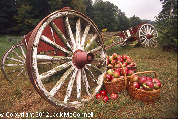 Apples and Wheels