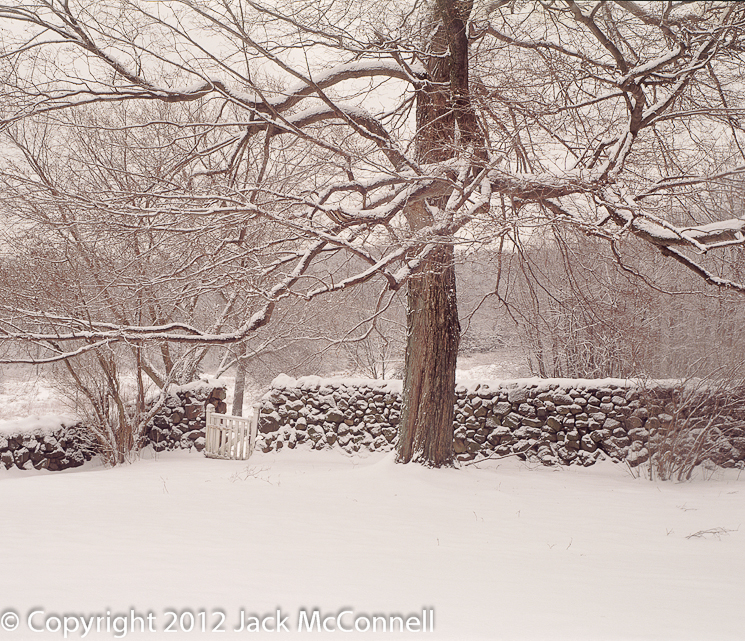 Hill-Stead gate in winter