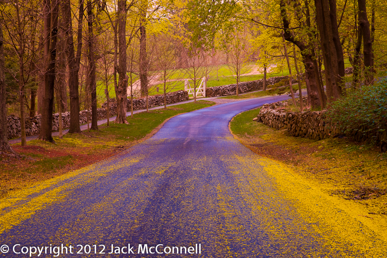 Hill-Stead road and stone wall