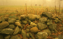 Stone wall and fog