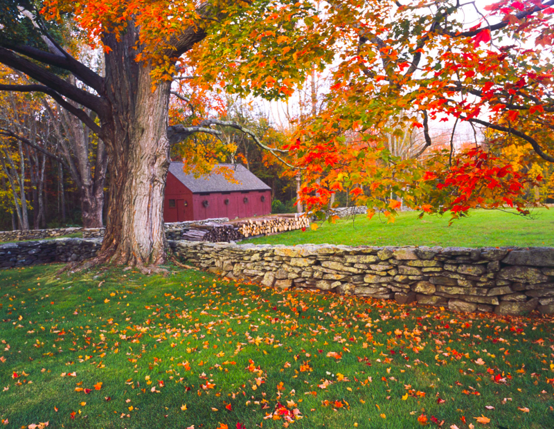 New England stone walls and Connecticut farms