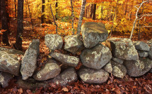 Stone walls in woods