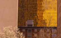 Gold Building from Ann Uccello St.
