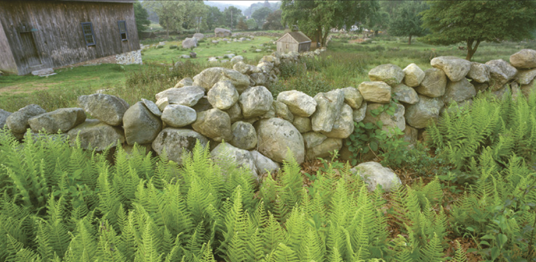 New England stone walls and Connecticut farms