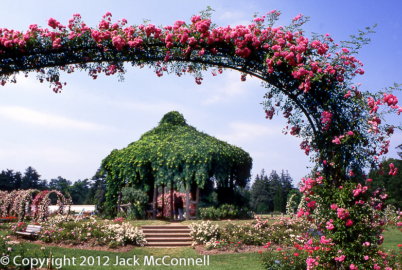 New England Summer landscapes