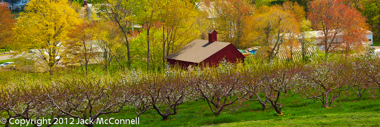 New England Spring landscapes