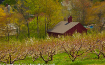 New England Spring landscapes