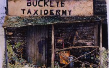 Buckeye Taxidermy, Maine