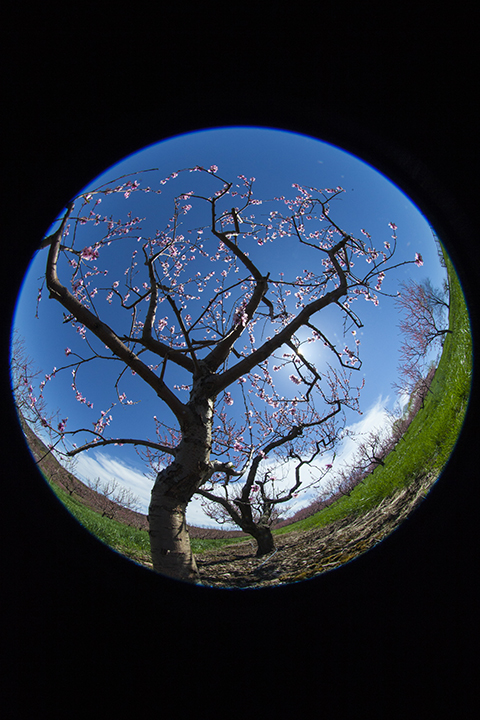 New England Spring Landscapes