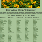 New England stock photography