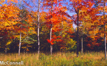 New England Fall landscapes