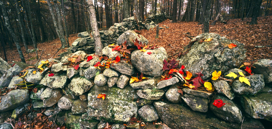 New England stone wall photography