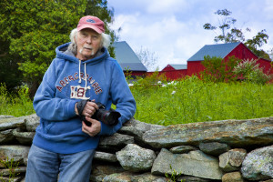 New England stone wall photography