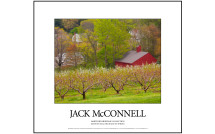 posters and fine art prints