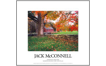 posters and fine art prints