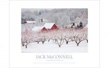Winter Orchard With Red Barn