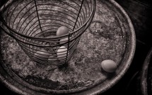 Four eggs in wire basket at Hard Rain Farm