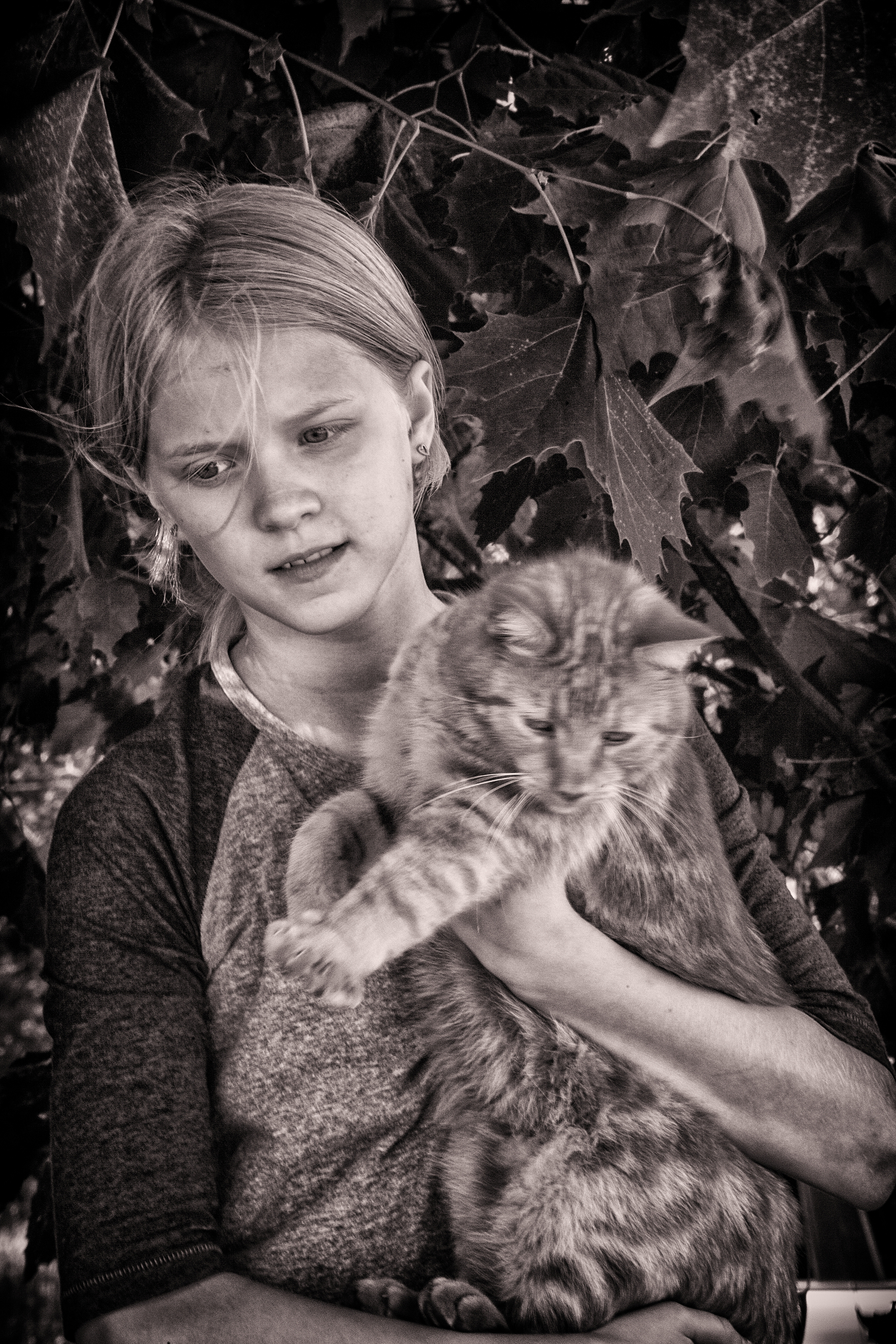 Granddaughter & Cat, Cato Corners