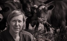 Duane Button with dairy cows