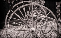 Wagon Wheels at Thorncrest Farm