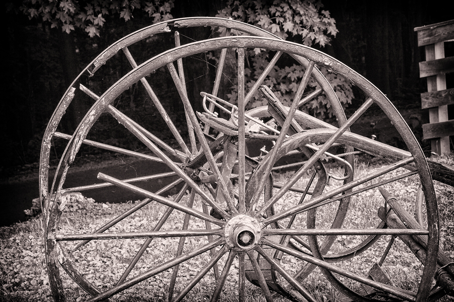 Wagon Wheels at Thorncrest Farm