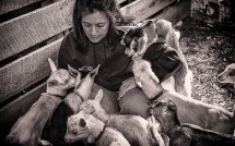 Woman feeds baby goats, Lebanon