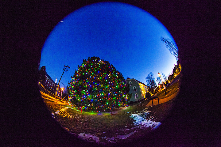 Christmas Tree in Wethersfield