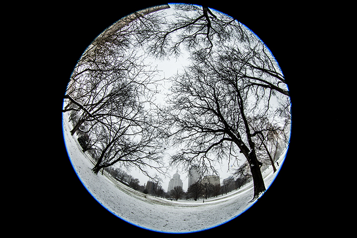 Winter at Bushnell Park