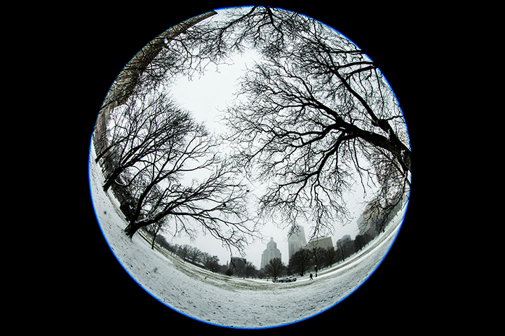 Winter at Bushnell Park II
